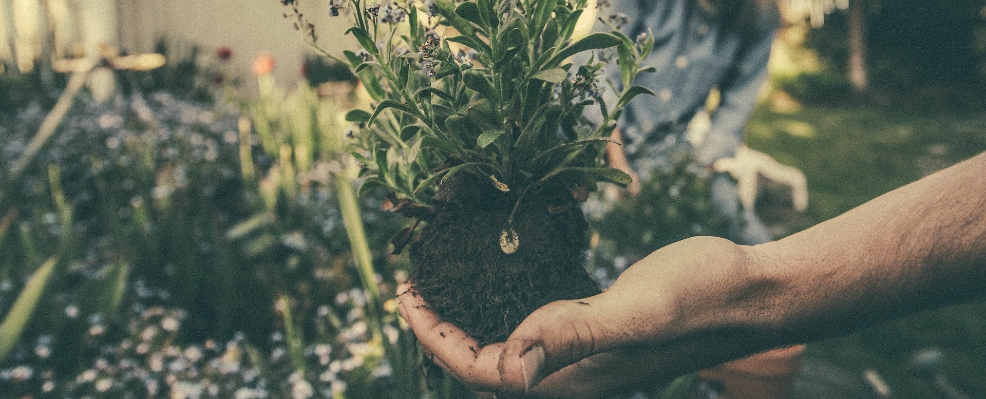 Composting our Lives