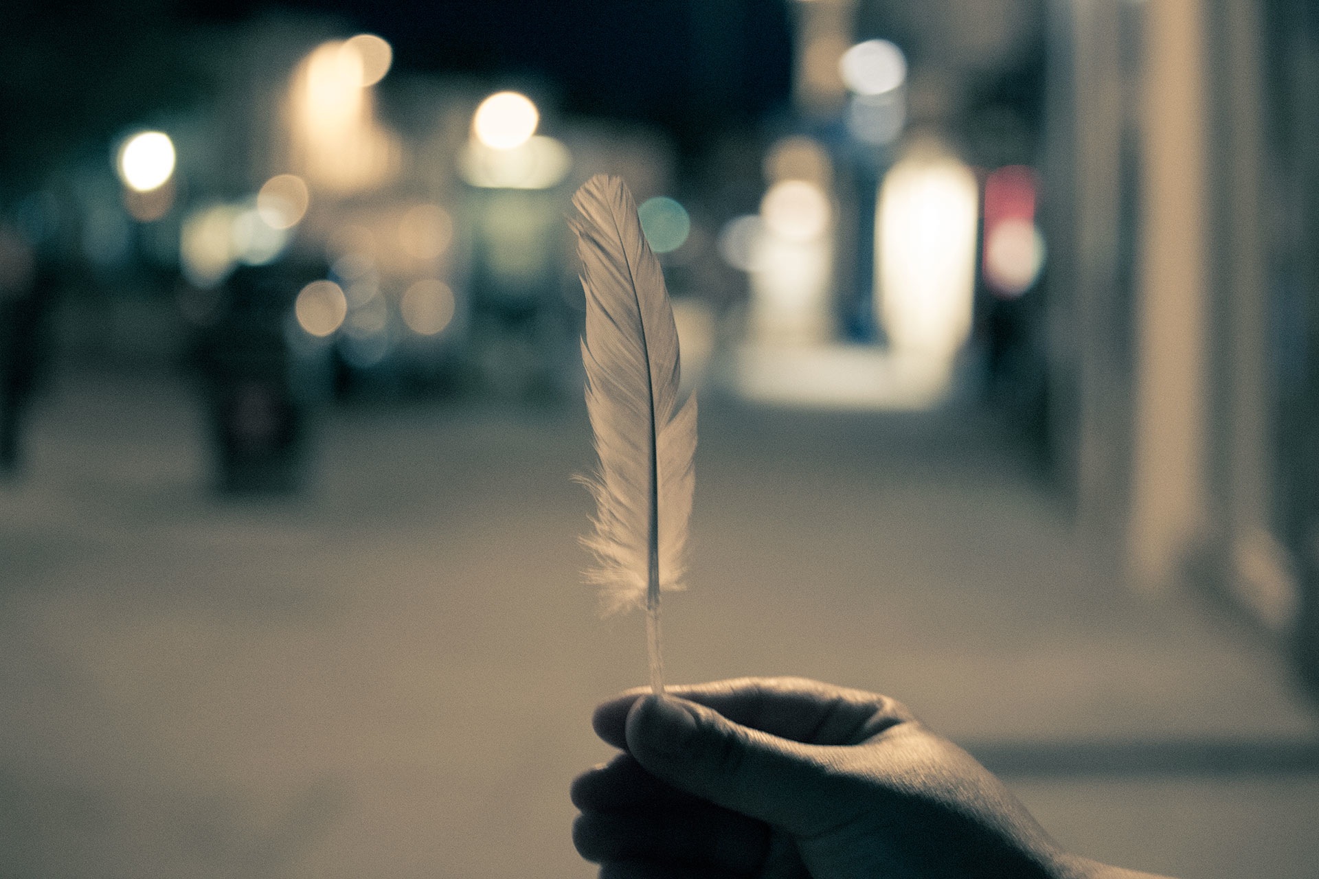 Only a Feather: Contemplative Leadership in Action