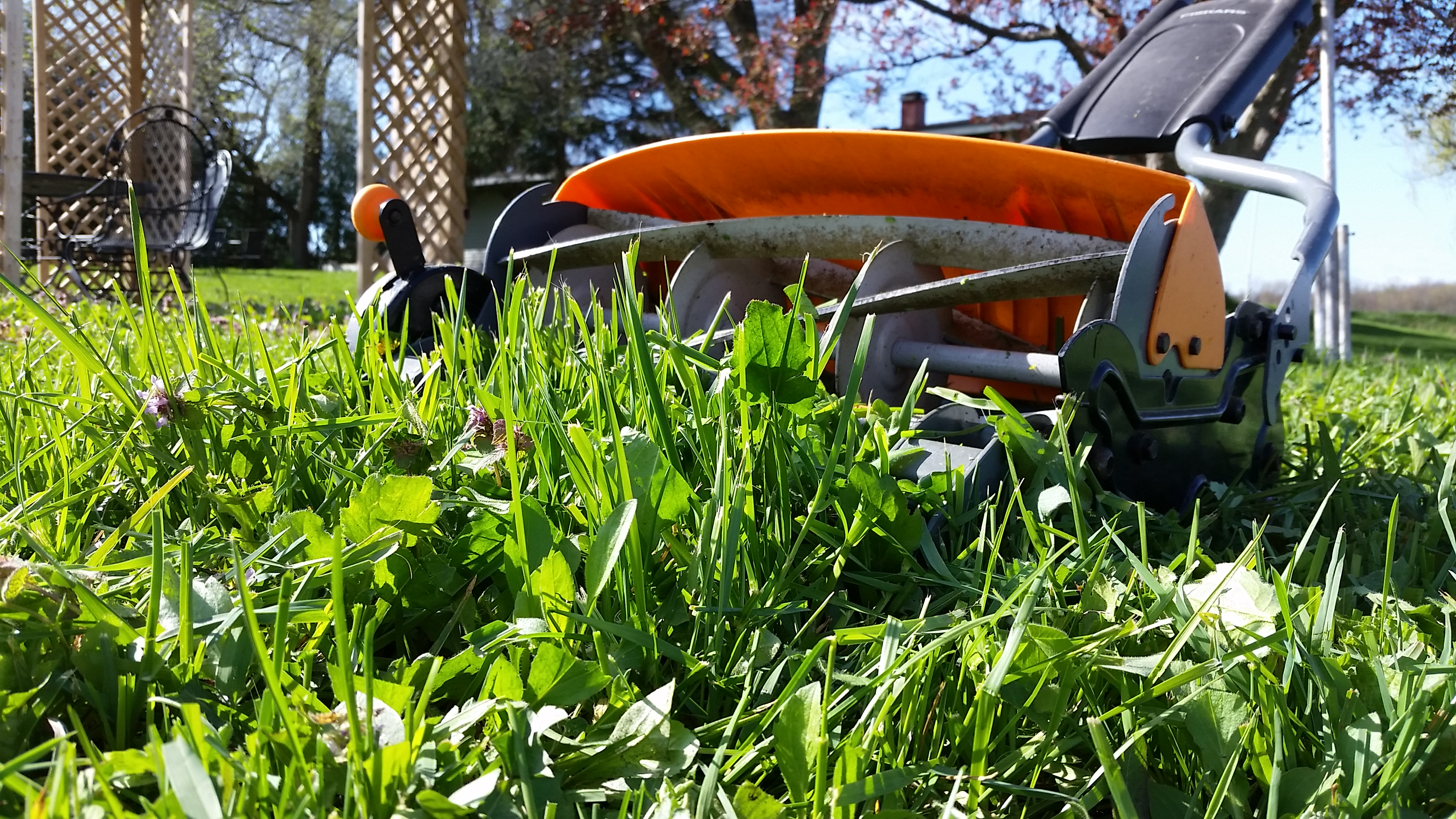 Spiritual Mulch