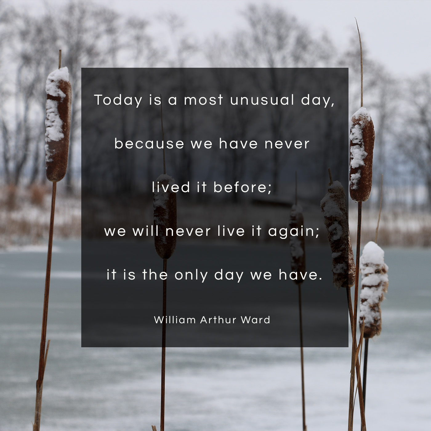 Shalem Institute / A most unusual day