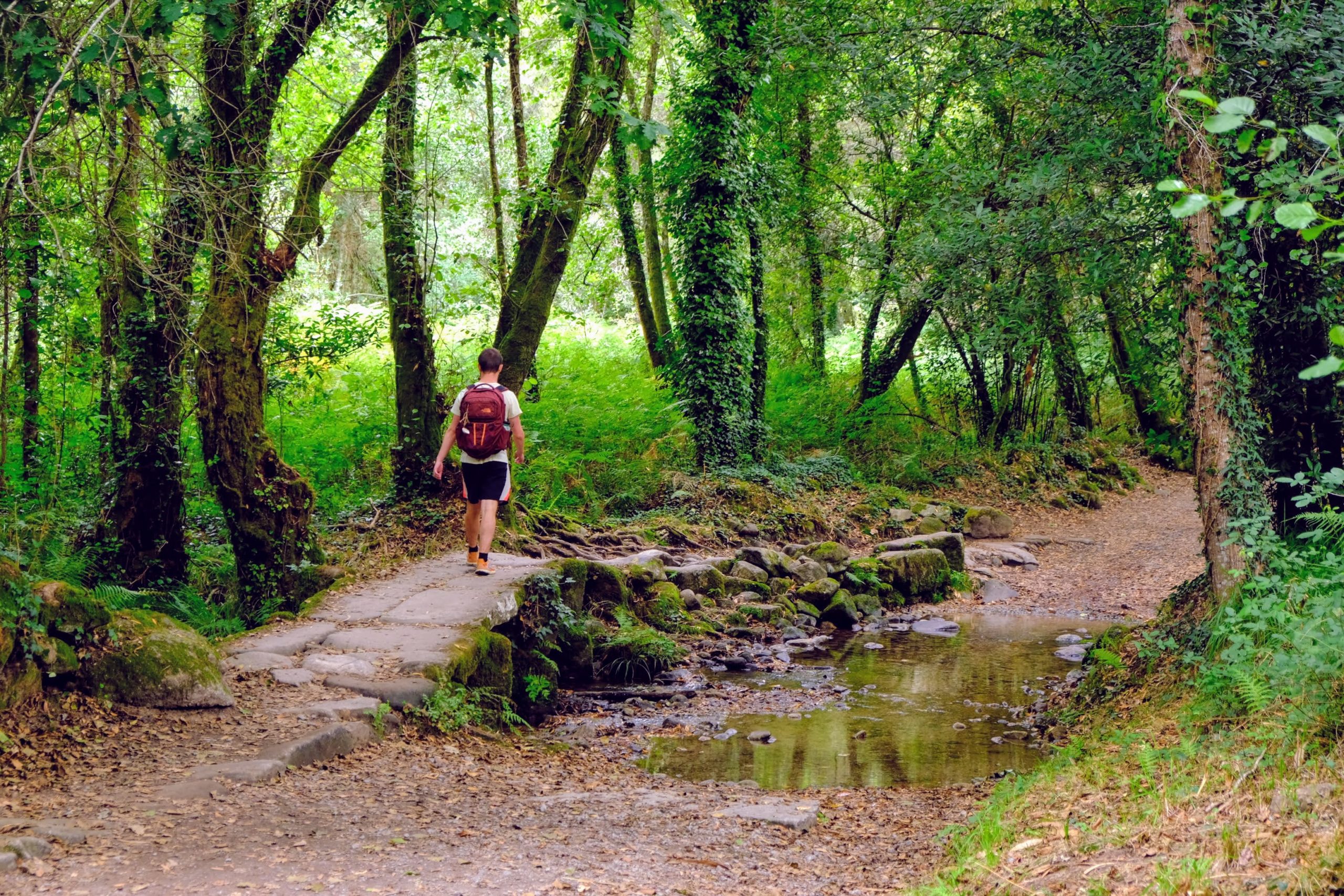 Reflections on the Camino